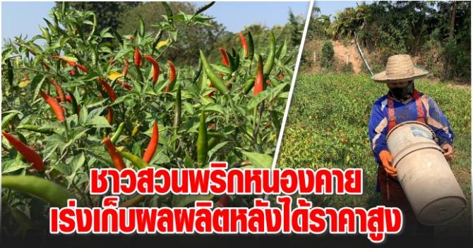 This image is not belong to us