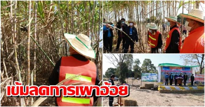 This image is not belong to us