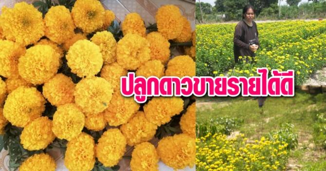 This image is not belong to us