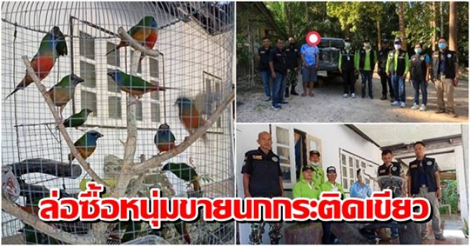 This image is not belong to us