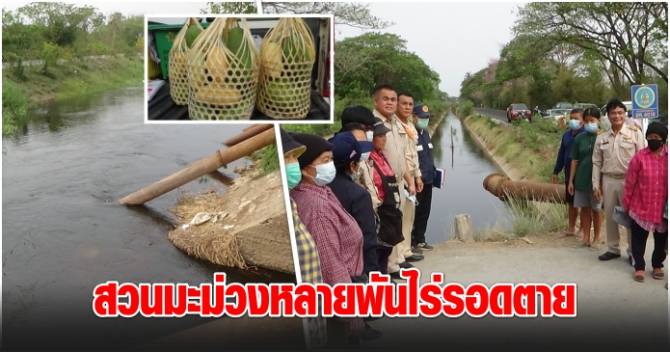 This image is not belong to us