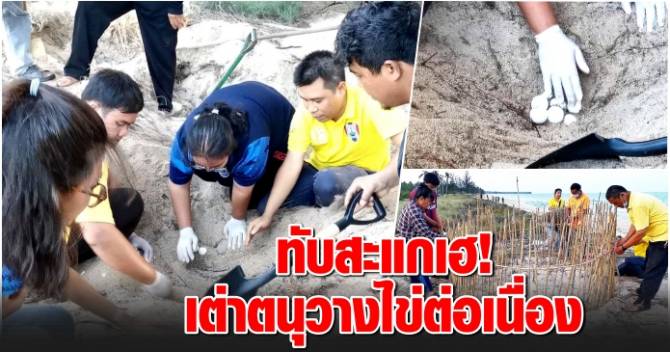 This image is not belong to us