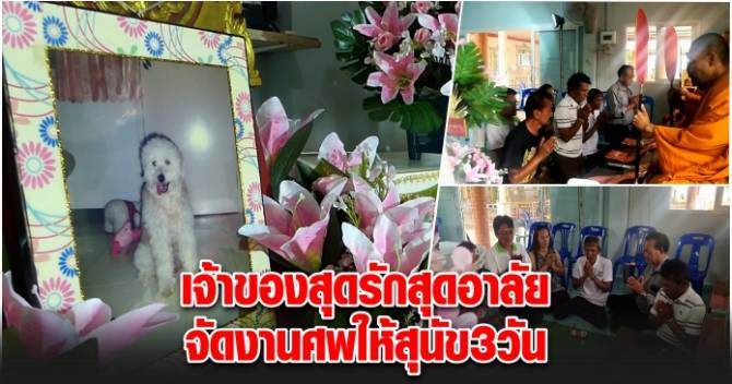 This image is not belong to us