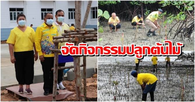 บ้านเมือง - ภูเก็ตจัดกิจกรรมปลูกต้นไม้อนุรักษ์ทรัพยากร ...