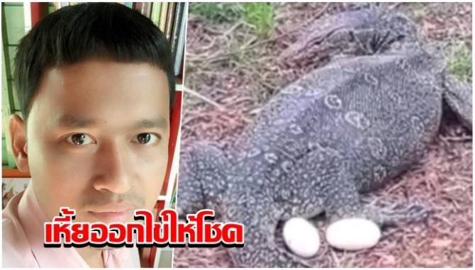 บ้านเมือง - เหี้ยออกไข่ให้โชค! ครูหนุ่มถูกทั้ง 2-3 ตัวตรงๆ คอหวยพากันตีเลขเด็ดถูกพรึ่บ