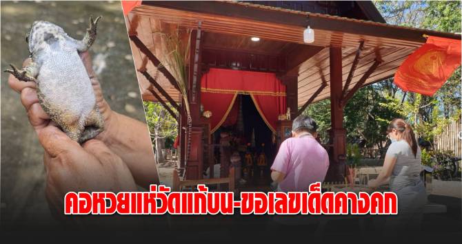 สรุปข่าวหวยล่าสุด