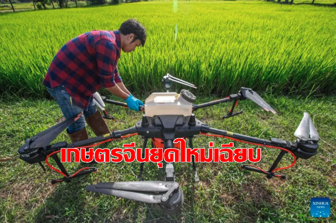 เกษตรท้องถิ่นจีนยุคใหม่เน้นเพิ่มมูลค่าด้วยนวัตกรรม