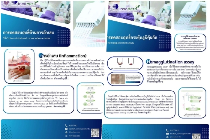 วว. ให้บริการทดสอบฤทธิ์ต้านการอักเสบ/กระตุ้นภูมิคุ้มกัน