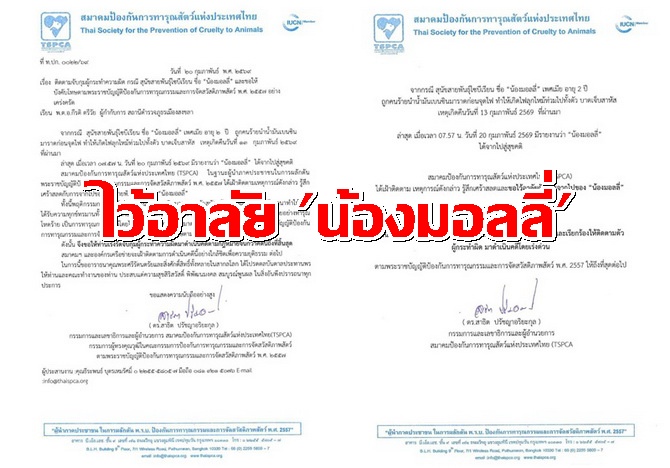 TSPCA แถลงไว้อาลัยน้องมอลลี่และประณามผู้กระทำผิด