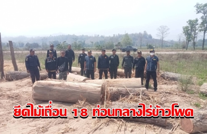 ป่าไม้-ตำรวจ-ปกครองอำเภอพบพระ ลุยยึดไม้เถื่อน 18 ท่อนกลางไร่ข้าวโพด