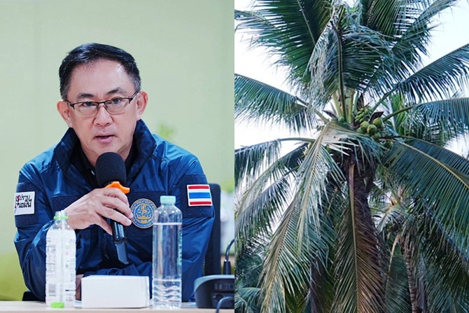 ปอศ.จับมือทีมกรมพัฒนาธุรกิจการค้า ลุยปราบ “ล้งมะพร้าวนอมินีจีน” ราชบุรี ตรวจค้น 8 บริษัท พบผิด 6 แห่ง ฮุบธุรกิจมะพร้าวน้ำหอม กดราคารับซื้อเกษตรกร