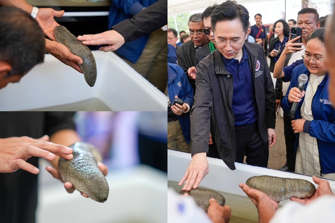 อ.เชน ลุยสงขลา ปั้นภาคใต้ฮับ