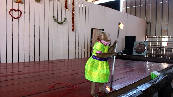 This image is not belong to us