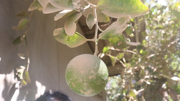 This image is not belong to us