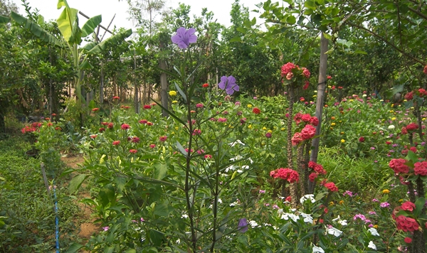 This image is not belong to us