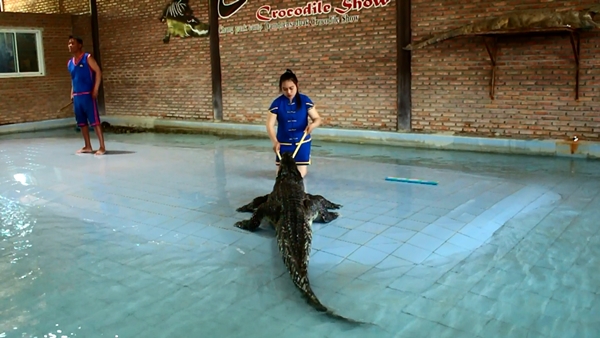 This image is not belong to us