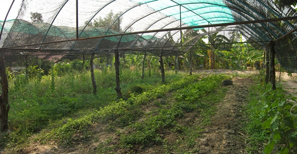 This image is not belong to us