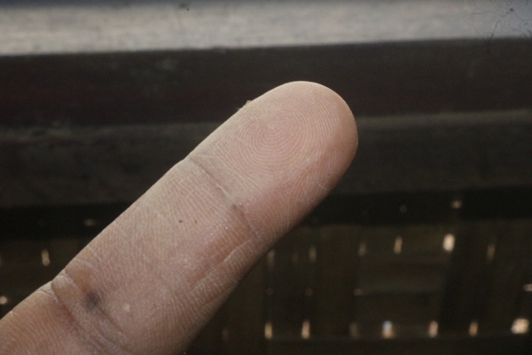 This image is not belong to us