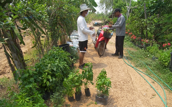 This image is not belong to us